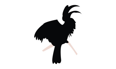 Hornbill Silhouette And Vector Illustration. 