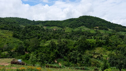 Naklejka premium Panoramic view of the green mountains and forests in Thailand.