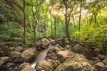 Bee Fall is a famous waterfall in Pachmarhi, Madhya Pradesh, India.