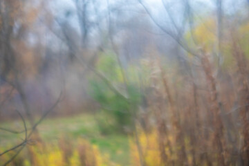 Blurred image of autumn state of nature as background.