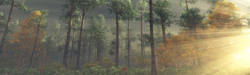 Forest in the morning in a fog in the sun, trees in a haze of light, glowing fog among the trees, 3D rendering