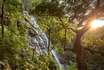 Bee Fall is a famous waterfall in Pachmarhi, Madhya Pradesh, India.