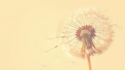 Dandelion Seeds Floating in the Air with a Light Yellow Background