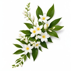 Obraz premium A bouquet of white and yellow flowers with green leaves, likely jasmine or a similar flowering plant