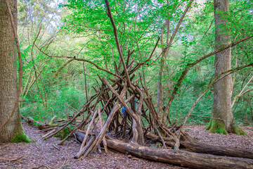 A makeshift wooden shelter built with sticks and branches in a lush green forest. The structure appears primitive and blends naturally with the surrounding vegetation, evoking a sense of wilderness an