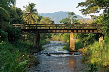 Bridge Over River in Lush Green Forest at Golden Hour