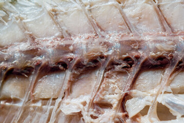 Close-up of mackerels fish bone and macro bone mackerels details