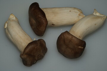 The king oyster mushroom (Pleurotus eryngii), also known as the king trumpet mushroom, is a popular edible mushroom known for its meaty texture and mild, earthy flavor. It has a long