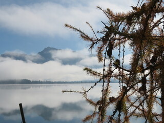 Der Forggensee im Allgäu