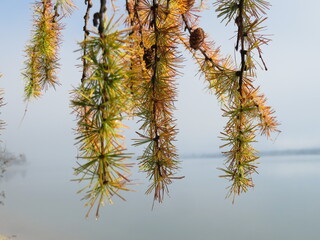 Herbstfarben Impressionen aus dem Allgäu