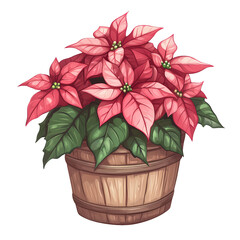 Poinsettia in Wooden Pot: A vibrant, red poinsettia plant blooms in a rustic wooden pot, a classic symbol of Christmas cheer and holiday spirit.