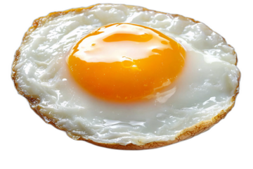 Sunny side up fried egg isolated transparent background