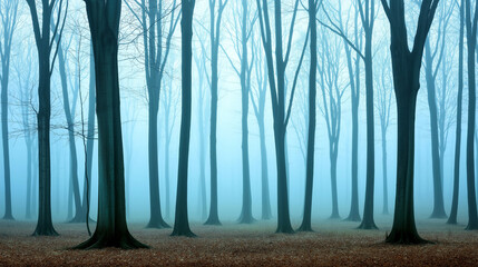 a misty, fog-covered forest with tall trees fading into the distance
