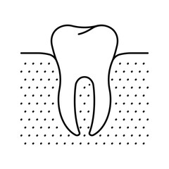 Tooth, line icon. Healthy molar in bone. Dentistry and oral hygiene topic. Linear illustration, editable stroke icon