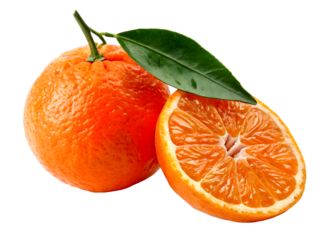 Orange slice fulf juicy raw organic fruit leaf object macro isolated cut out on transparent white background clipping path png format file photo image closeup single  full hd 4k download