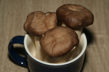 The king oyster mushroom (Pleurotus eryngii), also known as the king trumpet mushroom, is a popular edible mushroom known for its meaty texture and mild, earthy flavor. It has a long