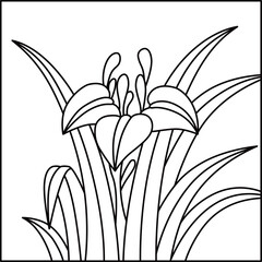 線画正方形花札　菖蒲　杜若　皐月　5月　菖蒲のカス