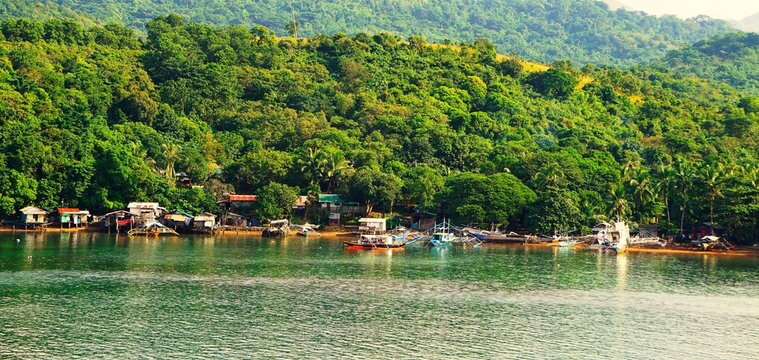Panorama na przepiękne wybrzeże, kt&oacute;re znajduje się na wyspie Palawan na Filipinach. Na brzegu widać liczne zabudowania, łodzie rybackie i pracujących ludzi. 