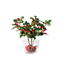 Holly Sprig with Red Berries: A classic festive decoration for the holiday season. The sprig is adorned with lush green leaves and bright red berries, adding a touch of cheer to any setting. 