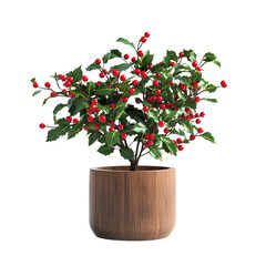 Holly Sprig with Red Berries: A classic festive decoration for the holiday season. The sprig is adorned with lush green leaves and bright red berries, adding a touch of cheer to any setting. 