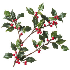Holly Sprig with Red Berries: A classic festive decoration for the holiday season. The sprig is adorned with lush green leaves and bright red berries, adding a touch of cheer to any setting. 