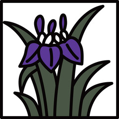 カラー正方形ミニ花札　菖蒲　杜若　皐月　5月　菖蒲のカス