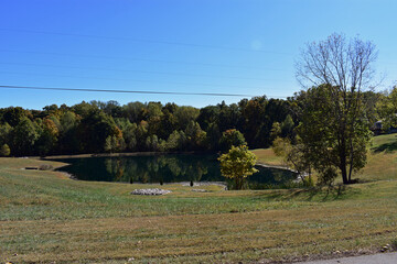 pond in a country meadow