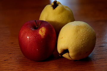 Two ripe bright yellow quince and red apple on a wooden table. Autumn fruits, close-up