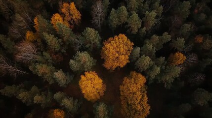 Autumn, summer, blue sky, clouds, water, road, and nature