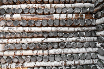 Woodpile of round birch logs closeup