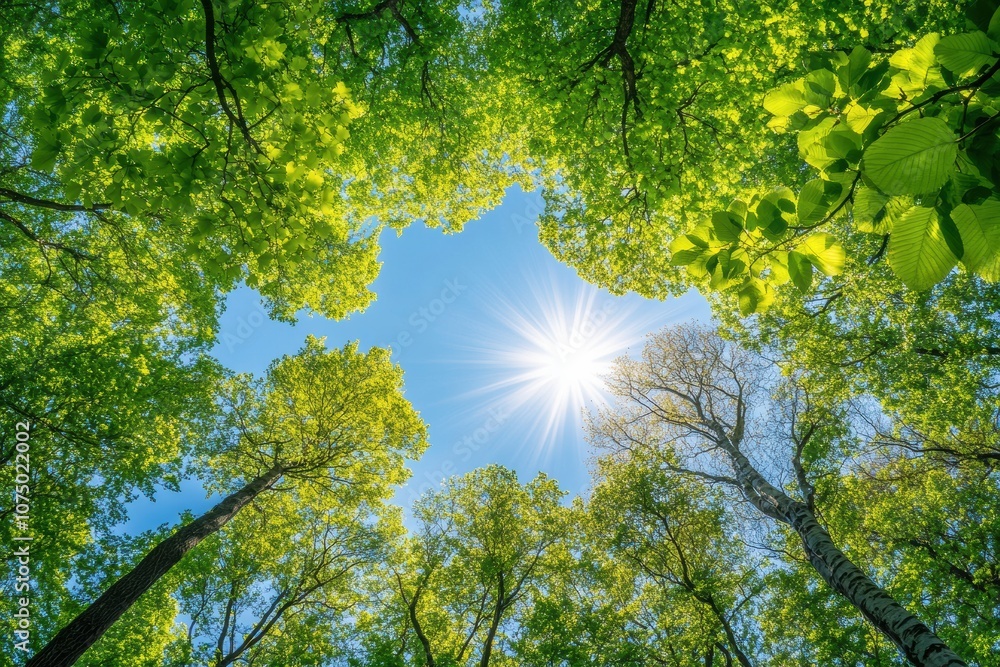 Poster sun shining through green trees canopy in springtime