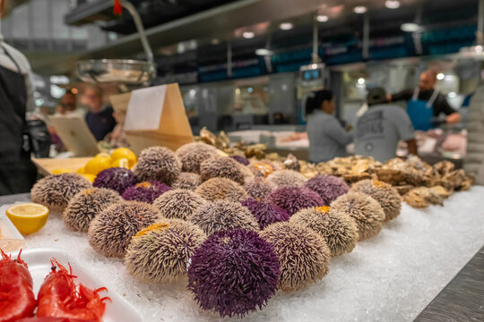 Close-up of fresh sea urchins on ice, on display in the seafood section of Valencia Central Market, Spain