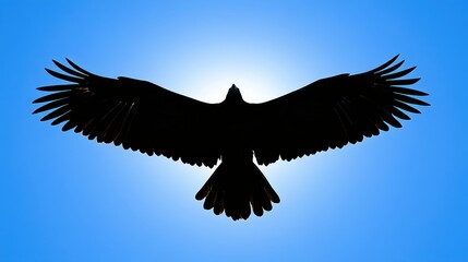 Obraz premium eagle soaring high in the sky with its wings spread wide