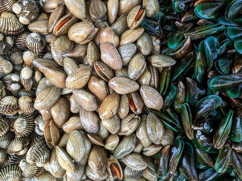 Fresh raw shellfish, clams and green mussels, Bangkok, Thailand