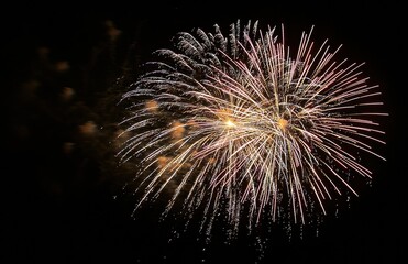 Fireworks exploding against dark night sky creating a spectacular display of light and color