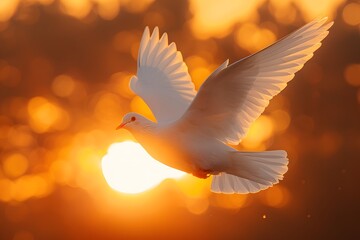 Fototapeta premium Serene White Dove in Flight Against a Warm Golden Sunset Sky