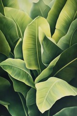 Obraz premium Lilies designed in close proximity so that the texture and colors are clearly visible in all of their dimensions or they may be used as a tracing paper for the expression of color and nature.