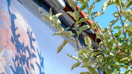 Fototapete bei efototapeten.de bestellen   