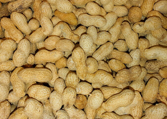 Close-up with many peanuts in the shell