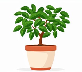 A vibrant potted plant with lush green leaves, perfect for adding a touch of nature to indoor spaces or enhancing home decor.