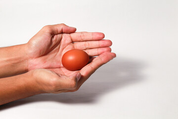 Hand holding chicken egg on isolated white background