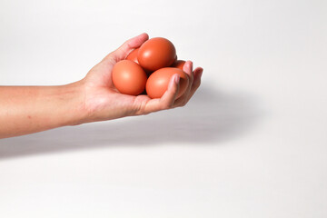 Hand holding chicken egg on isolated white background