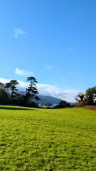 Field, lake and blue sky