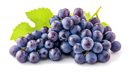 Fototapeta premium A bunch of fresh blue grapes isolated on white background.