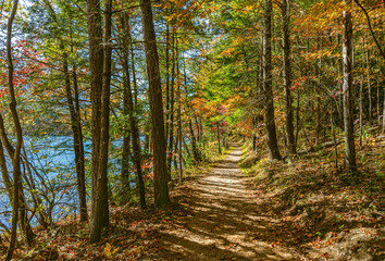 The Indian Boundary Lake Loop trail in autumn with dappled sunlight on the path, and trees in vibrant shades of red, yellow, and green. Accessed from the Cherohala Skyway in Tennessee. Horizontal
