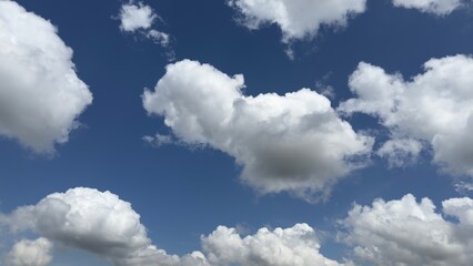 A beautiful, bright sky filled with fluffy, white cumulus clouds.