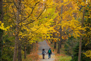 Lovers Walking in Autumn Road Photo, Sariyer Istanbul, Turkiye (Turkey)