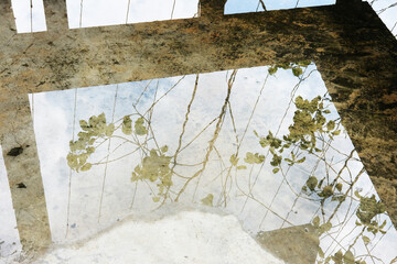 old wall with flowers