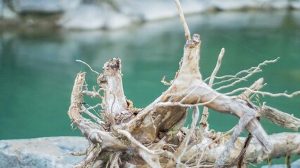 Isar