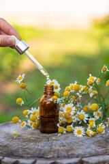 Chamomile essential oil in the garden. Selective focus.